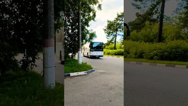 Миниролик #838 "Вояж" на 333к #автобусЛиАЗ #ЛиАЗ #рекомендации #рек #автобуснефаз