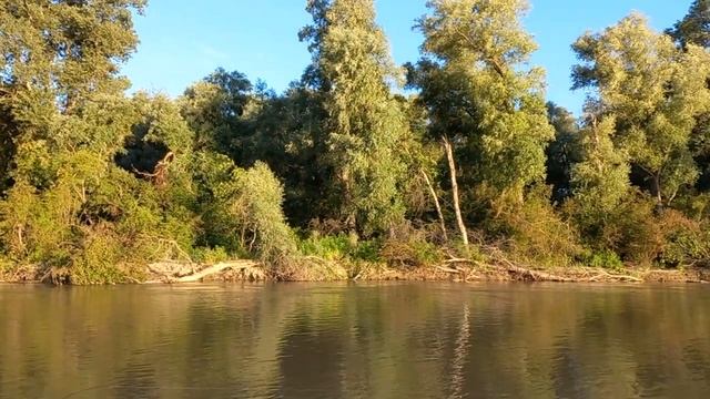 1000122644.mp4