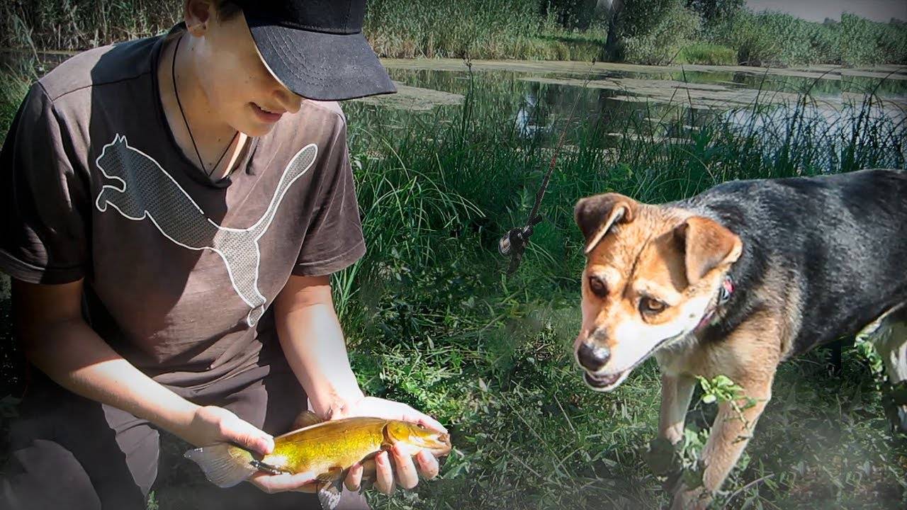 МЫ  НЕ ОЖИДАЛИ ЧТО ПРИПЛЫВУТ ОНИ... УТАСКИВАЮТ УДОЧКУ ПРЯМО В ВОДУ!