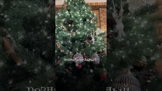 Я БЫЛА В ШОКЕ КОГДА УЗНАЛА ОБ ЭТОМ!