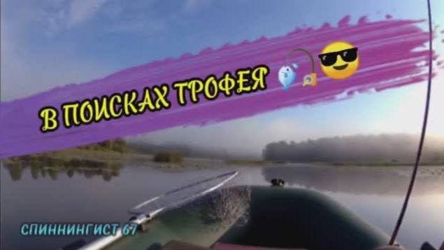 В ПОИСКАХ ТРОФЕЯ 🎣😎              #лето2024 #fishing #рыбалка #россия #июль2024