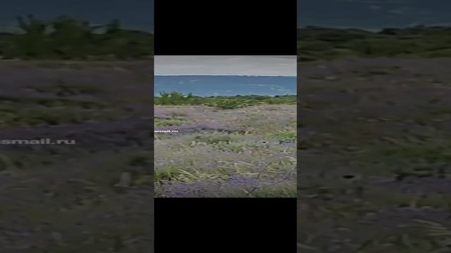 1000085555.mp4
