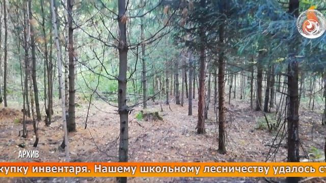 НАГРАДА НАШЛА ГЕРОЯ! КЕДРОВЦЫ ПЕРВЫЕ ВО ВСЕРОССИЙСКИХ СОРЕВНОВАНИЯХ