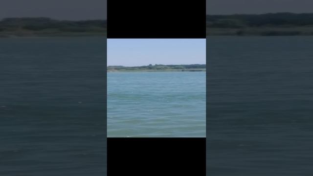 VID_20240820_122659.mp4