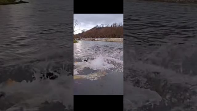 Зацепила меня