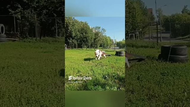 шлака для вейтпуллинга