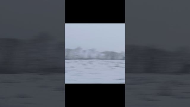Подкормка