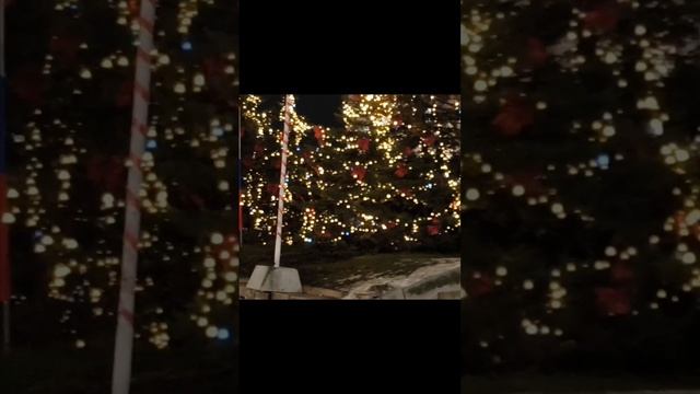 ездил отдыхать за город)