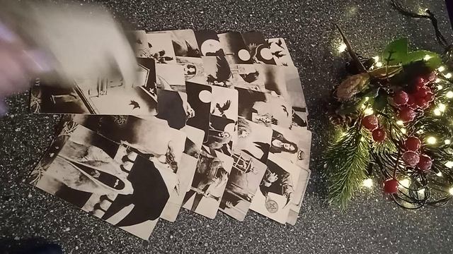 VID_20241226_095137.mp4