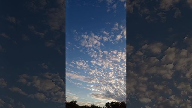 1000028834.mp4Shorts