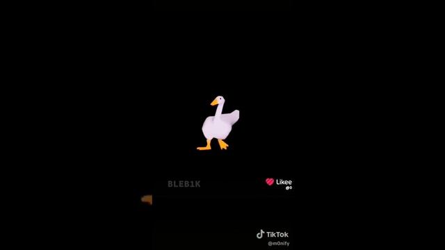 1000004737.mp4