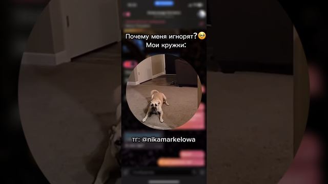 Кружки от Ники ч.13