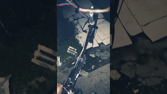 1001950575.mp4
