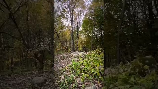 #enduro #питбайк #crash #мотоциклы #automobile #motocross #extremesports #эндуробеспредел #тренды