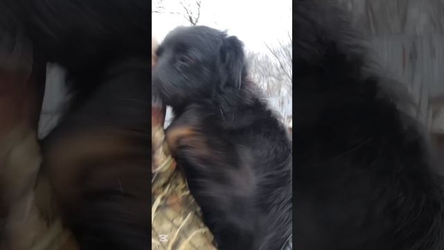 Зине нужен дом