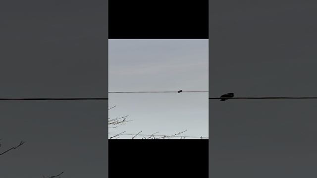 1000006250.mp4