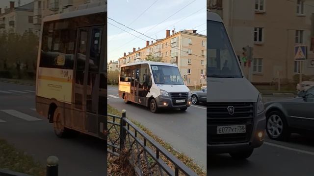 "Гос с Пазика !!!" Бывшая н120се750 теперь е077ут750 на 39! #автобусЛиАЗ #ЛиАЗ #рекомендации #рек