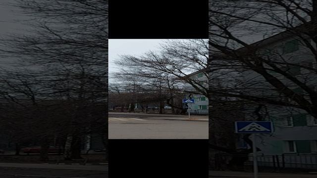 Белгород сейчас. 26.12.2024