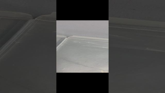 IMG_7834