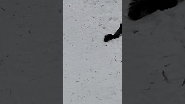 1000028051.mp4