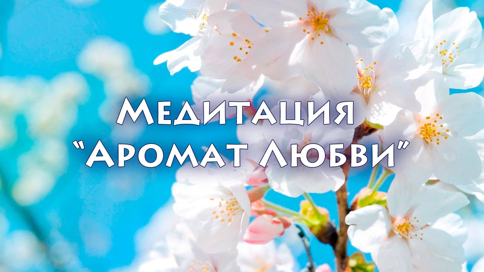 Аромат+6