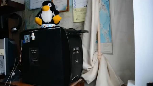 Музыку включай я буду танцевать кошка хочет танцевать