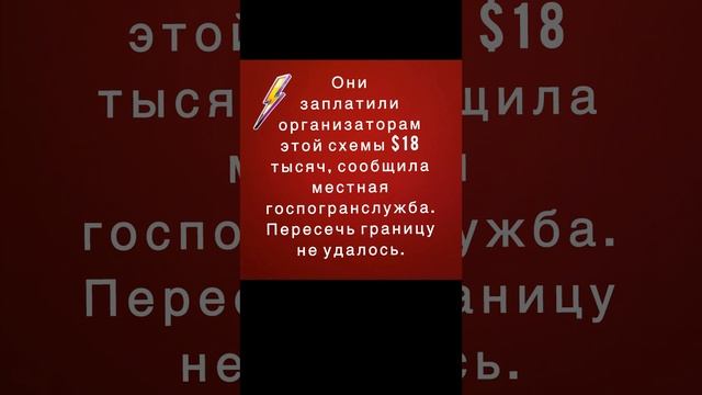 Двое украинцев пытались бежать от мобилизации, выдавая себя за участников траурного кортежа