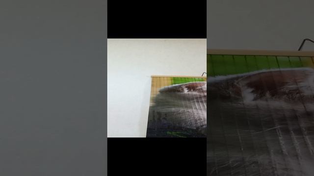 распаковки предметов из чистого дома.