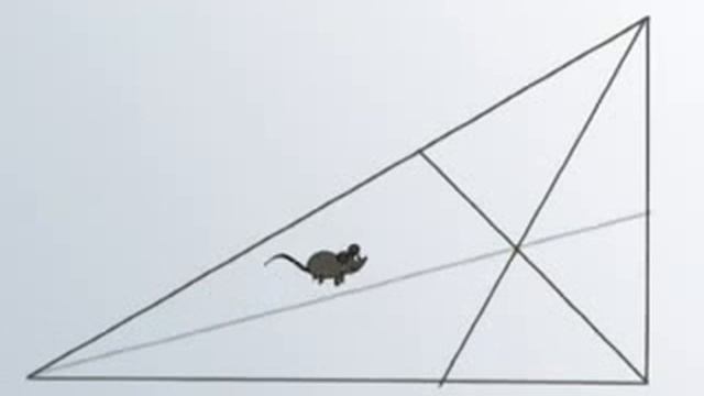 Занимательная геометрия