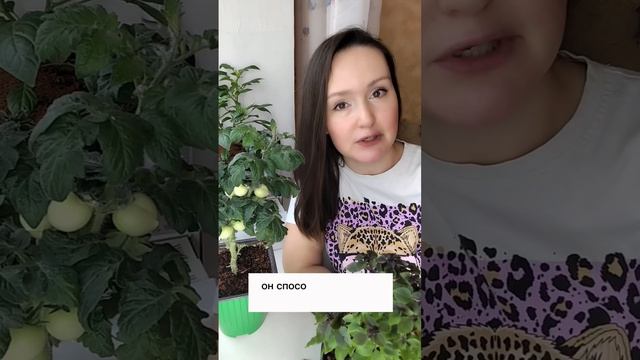 🚨 Ваш Сад Под Угрозой? Спасение Есть! 🌿✨