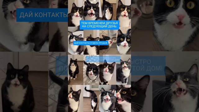 ТЕХНОПАНЕЛЬ — строительный материал о котором невозможно молчать