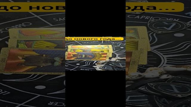 1000055594.mp4