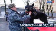 ВЕСТИ 24 Санкт-Петербург от 26.12.2024