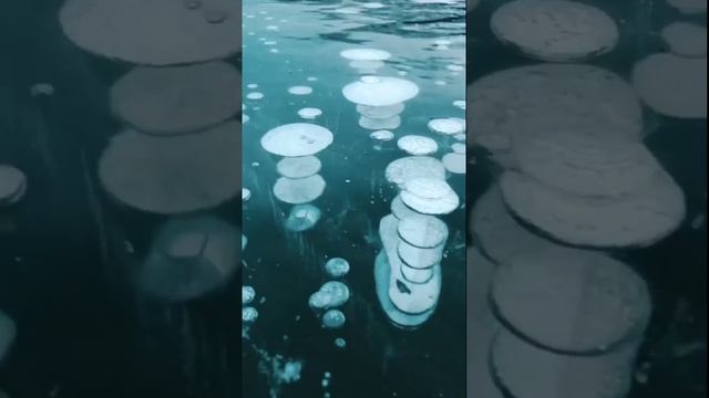 metan.mp4