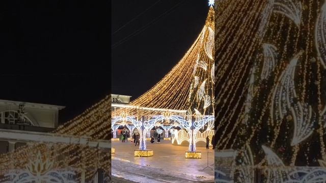 Кость широкая🤣