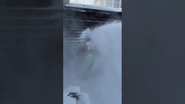 VID-20241226-WA0004.mp4