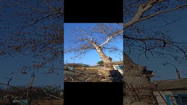 1000009857.mp4