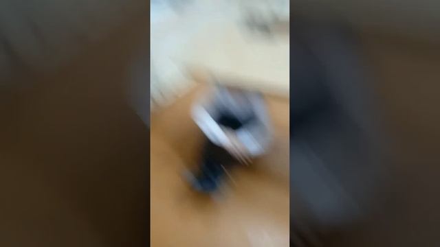 scene_output.mp4