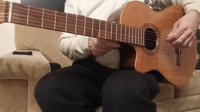 nothing else matters☝ #metallica#rumba#flamenco#gipsy#россия#москва#гитарист#бриллиант#струны#жизнь