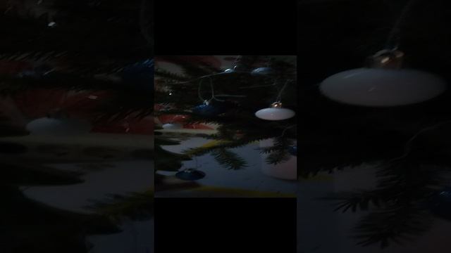 1000010742.mp4