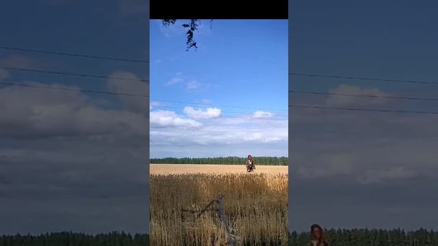1000005189.mp4