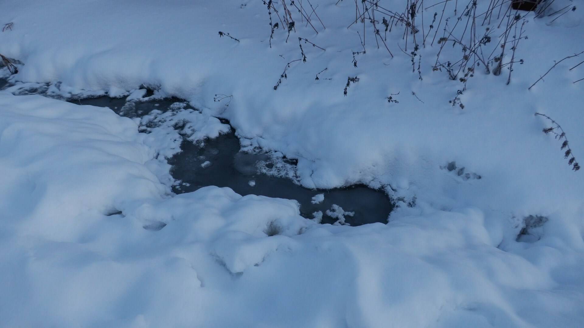 Жители 1-й Нижне-Вокзальной пожаловались на подтопление грунтовыми водами