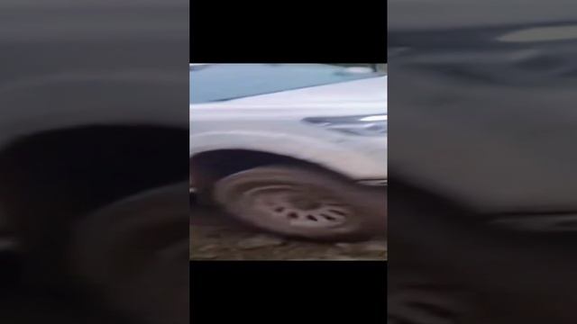 Oting Paladin crazy offroad