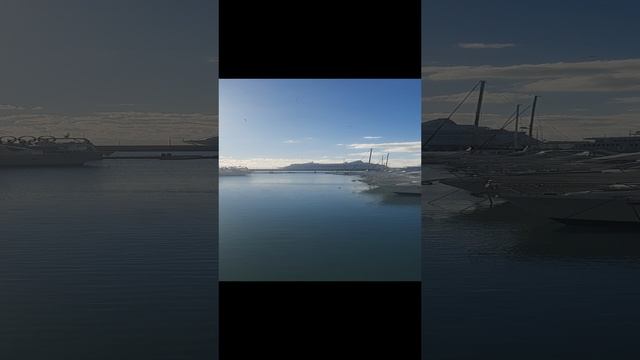 Сочи. Морской порт. Декабрь 24.