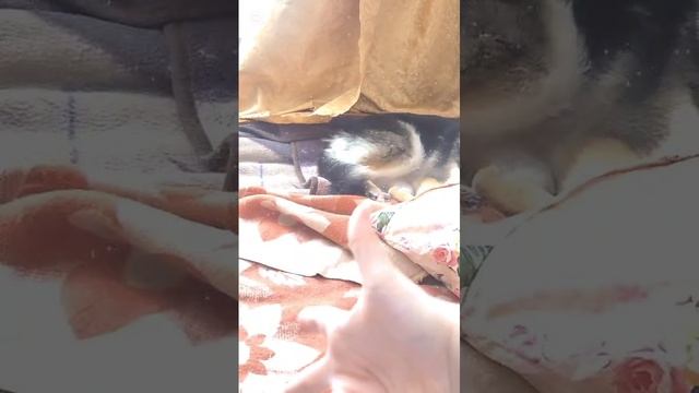 знакомство с вами🤚❤