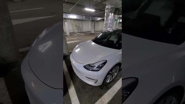 Отзыв клиента После получени Tesla Model 3 Performance 2019 года ! Ростов на Дону