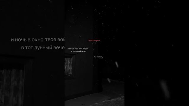 2024-12-26-092225566.mp4