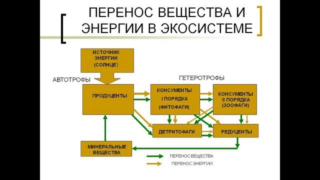 Регуляция на уровне экосистем