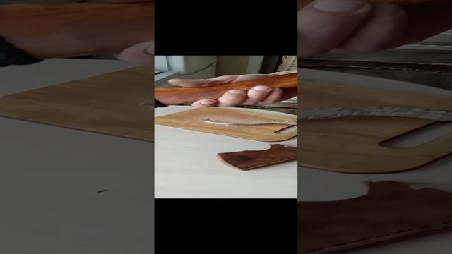1000000388.mp4