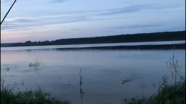 Получасовая рыбалка на Волге.17.08.24. Криуши.